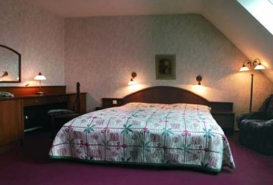 hotel **** - Hotel Bukowy Dworek - Pokoje - zdjęcie 3