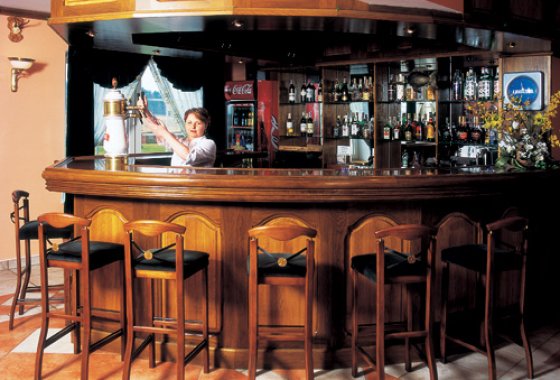 hotel *** - Hotel Mazurski Dworek - Usługi - zdjęcie 3