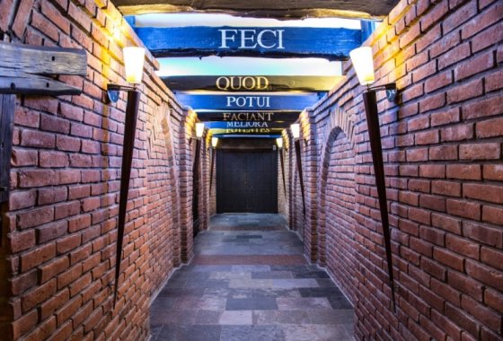 hotel **** - Hotel ZAMEK RYN**** - Usługi - zdjęcie 8