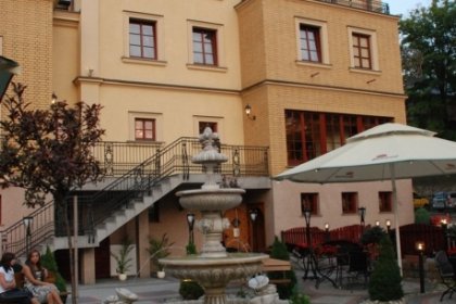 hotel *** - Hotel – Restauracja Pałac Wiśniewski - zdjęcie 3