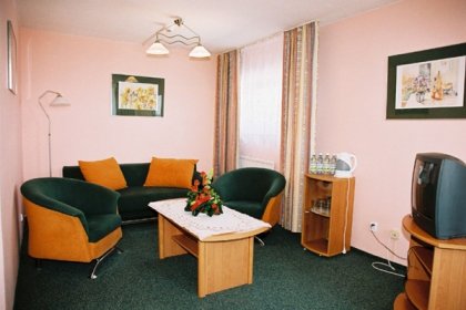 obiekt konferencyjny - Hotel Sana Centrum Rekreacyjno -Szkoleniowe - zdjęcie 9