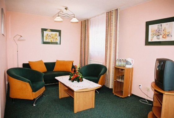 obiekt konferencyjny - Hotel Sana Centrum Rekreacyjno -Szkoleniowe - Pokoje - zdjęcie 4