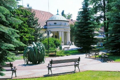 obiekt konferencyjny - Hotel Sana Centrum Rekreacyjno -Szkoleniowe - zdjęcie 15