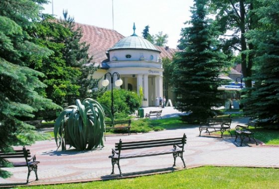 obiekt konferencyjny - Hotel Sana Centrum Rekreacyjno -Szkoleniowe - Usługi - zdjęcie 5