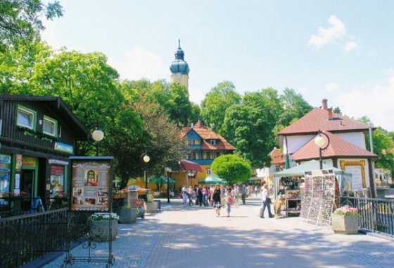 obiekt konferencyjny - Hotel Sana Centrum Rekreacyjno -Szkoleniowe - Usługi - zdjęcie 7