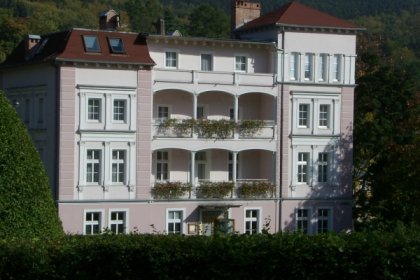 hotel *** - Hotel Arabeska - zdjęcie 3
