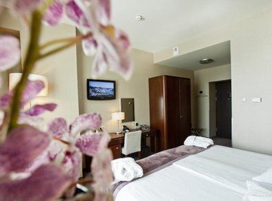 Hotel Kossak - telewizor w pokoju - SaleBiznesowe