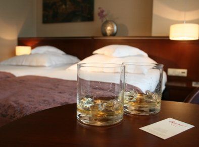 Hotel Kossak - pokój 2-osobowy - SaleBiznesowe