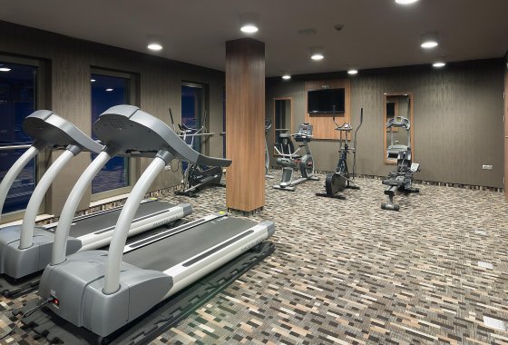 Holiday Inn Krakow City Centre - silownia - SaleBiznesowe