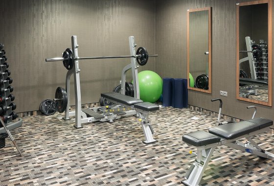 Holiday Inn Krakow City Centre - silownia - SaleBiznesowe