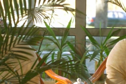 hotel *** - Hotel -"Dębowa Góra" - zdjęcie 10