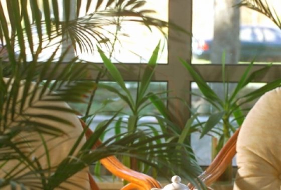 hotel *** - Hotel -"Dębowa Góra" - Usługi - zdjęcie 2