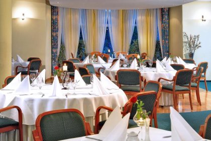 hotel *** - Hotel Jarzębina - zdjęcie 2