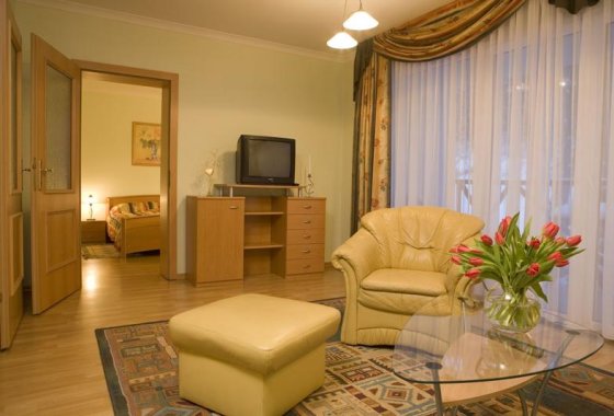 hotel *** - Hotel Jarzębina - Pokoje - zdjęcie 2