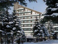 Hotel Tulipan