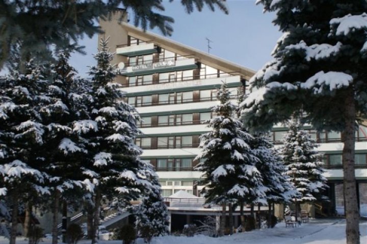 Hotel Tulipan