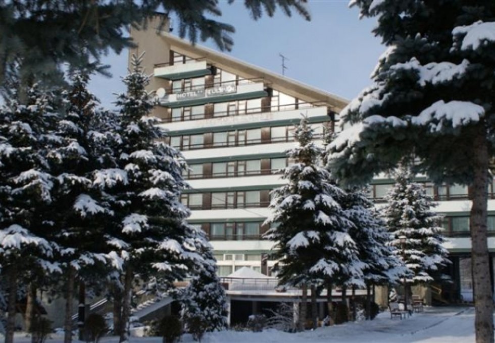 hotel - Hotel Tulipan