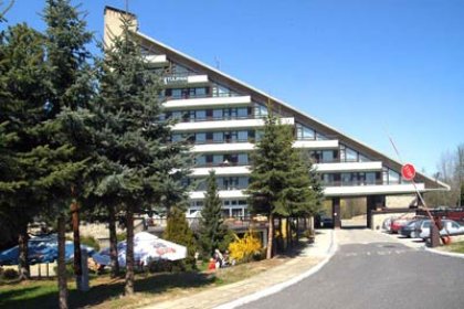 hotel - Hotel Tulipan - zdjęcie 2