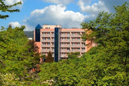 hotel **** - Hotel Kudowa**** Biznes & SPA - zdjęcie 6