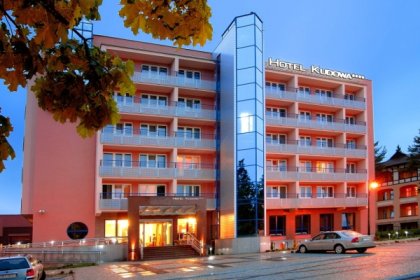 hotel **** - Hotel Kudowa**** Biznes & SPA - zdjęcie 8