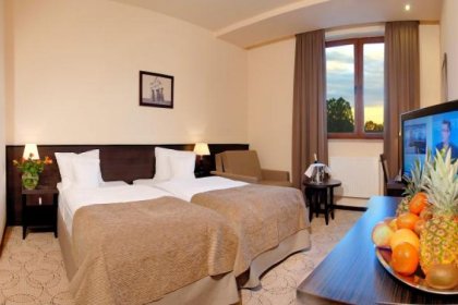 hotel **** - Hotel Kudowa**** Biznes & SPA - zdjęcie 9