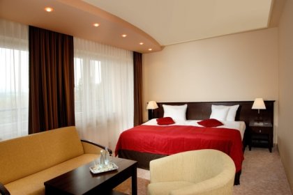 hotel **** - Hotel Kudowa**** Biznes & SPA - zdjęcie 16