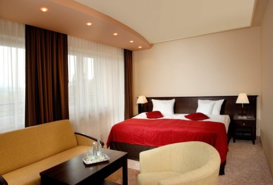hotel **** - Hotel Kudowa**** Biznes & SPA - Pokoje - zdjęcie 1