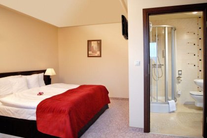hotel **** - Hotel Kudowa**** Biznes & SPA - zdjęcie 12