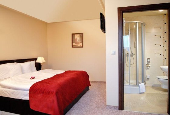 hotel **** - Hotel Kudowa**** Biznes & SPA - Pokoje - zdjęcie 5