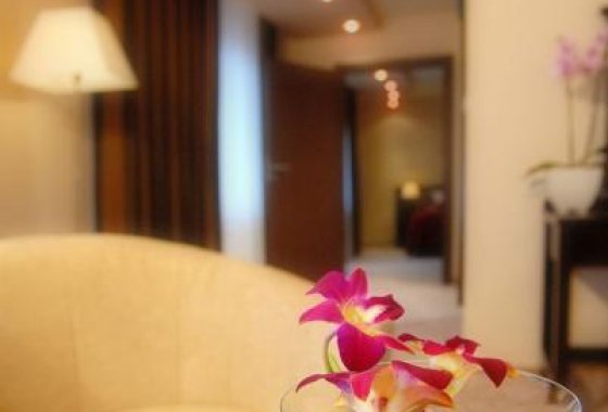 hotel **** - Hotel Kudowa**** Biznes & SPA - Pokoje - zdjęcie 7