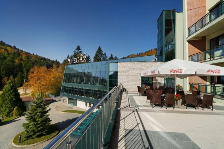 Hotel Pegaz