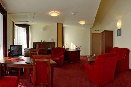 hotel *** - Hotel Jaskółka - zdjęcie 4