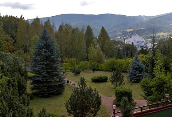 hotel *** - Hotel Jaskółka - Usługi - zdjęcie 1