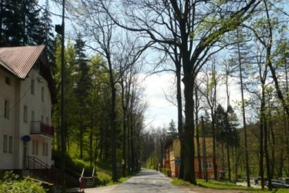 hotel *** - Hotel Mir-Jan - zdjęcie 2
