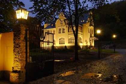 pensjonat - Villa Elise Park Pension - zdjęcie 1