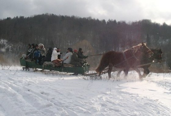 obiekt konferencyjny - Centrum Wypoczynkowo Szkoleniowe UNITRA - Usługi - zdjęcie 5