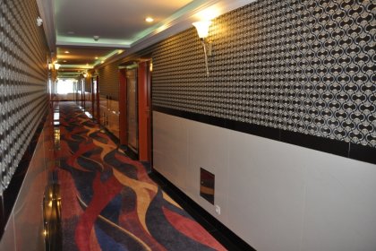 hotel **** - Hotel Gołębiewski - zdjęcie 10