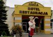 hotel - Hotel Restauracja SAGA - zdjęcie 3