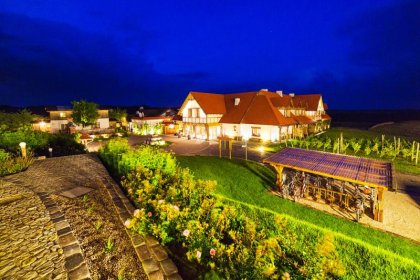 hotel **** - Głęboczek. Vine Resort & SPA - zdjęcie 3