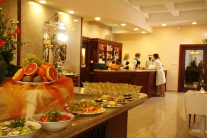 hotel - Termy Pałacowe - Nałęczowianka, SPA Nałęczów - zdjęcie 2