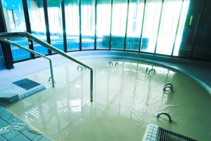 hotel - Termy Pałacowe - Nałęczowianka, SPA Nałęczów - zdjęcie 15