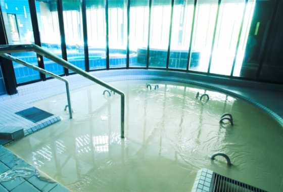 hotel - Termy Pałacowe - Nałęczowianka, SPA Nałęczów - Usługi - zdjęcie 10