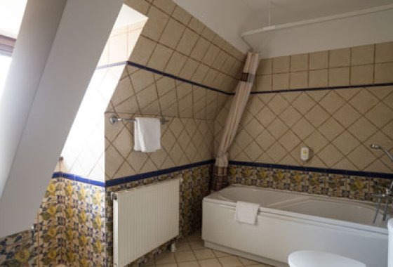 hotel *** - Królewski Spichlerz - Pokoje - zdjęcie 17