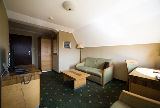 hotel *** - Królewski Spichlerz - Pokoje - zdjęcie 12