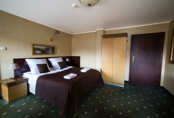 hotel *** - Królewski Spichlerz - Pokoje - zdjęcie 9