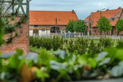 hotel - Kadyny Folwark Hotel & SPA - zdjęcie 4