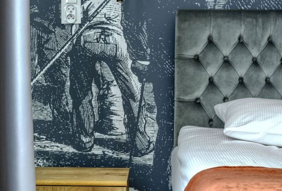 hotel - Kadyny Folwark Hotel & SPA - Pokoje - zdjęcie 5