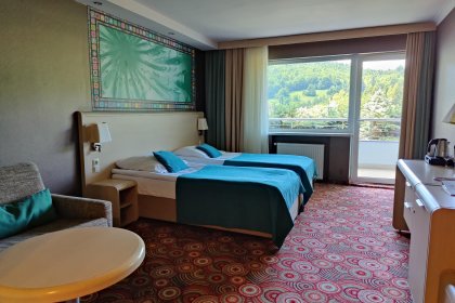 hotel **** - Hotel Klimczok - zdjęcie 10