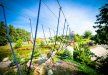 obiekt konferencyjny - Rancho Pod Bocianem - zdjęcie 9