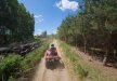 obiekt konferencyjny - Rancho Pod Bocianem - zdjęcie 23